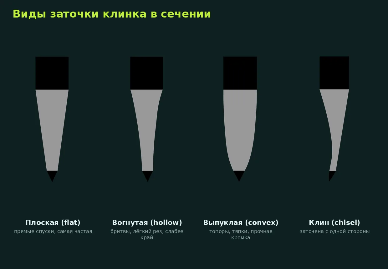 Виды заточки клинка в сечении: плоская, вогнутая, выпуклая, клин
