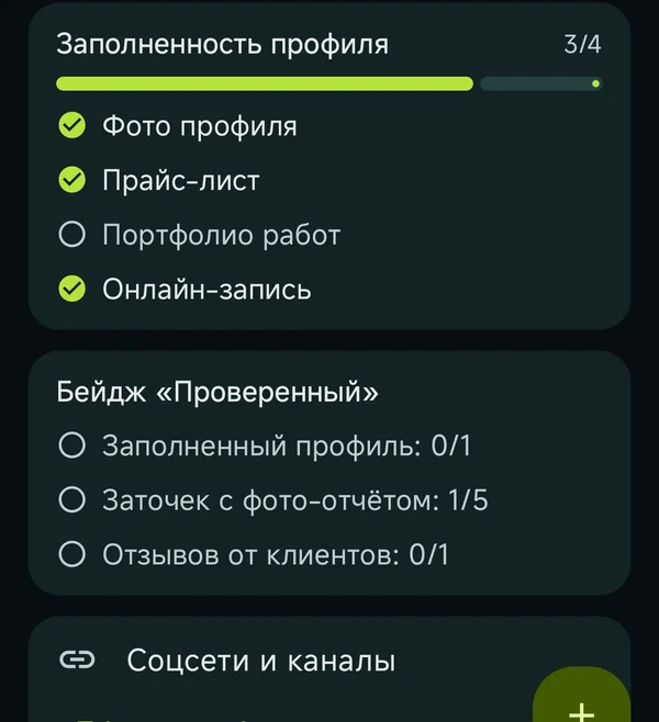 Экран заполненности профиля мастера в приложении Recurva